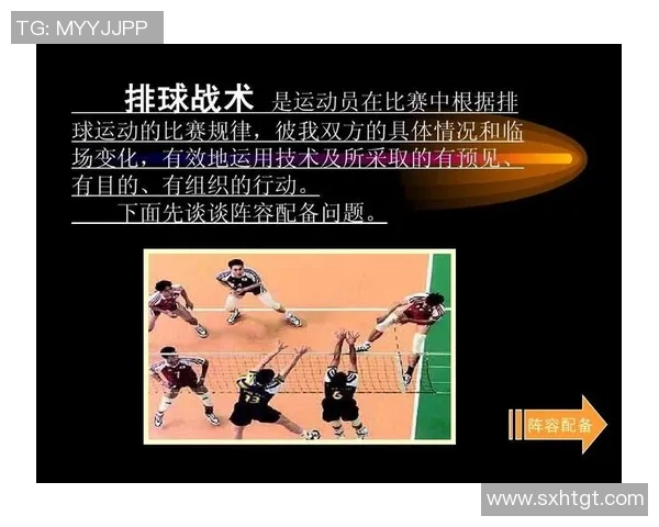 上海排球队战术实力分析排球战术排行榜揭示其第九名地位
